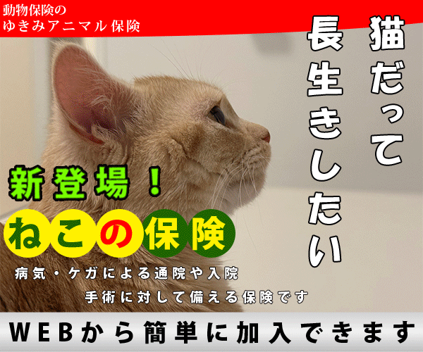 ねこの保険